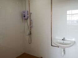 Tan Tong Meng Tower (D11), Apartment #480485271